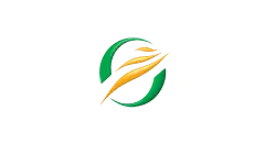 Main Logo